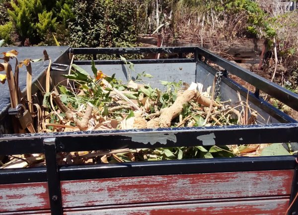 Ambiente, Limpeza e Jardins