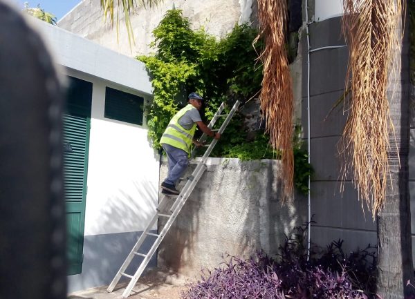 Ambiente, Limpeza e Jardins