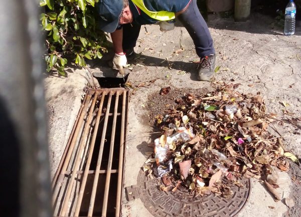 Ambiente, Limpeza e Jardins